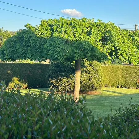 Casa Dos Olivos