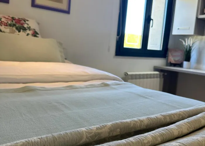 Casa Dos Olivos Ourense